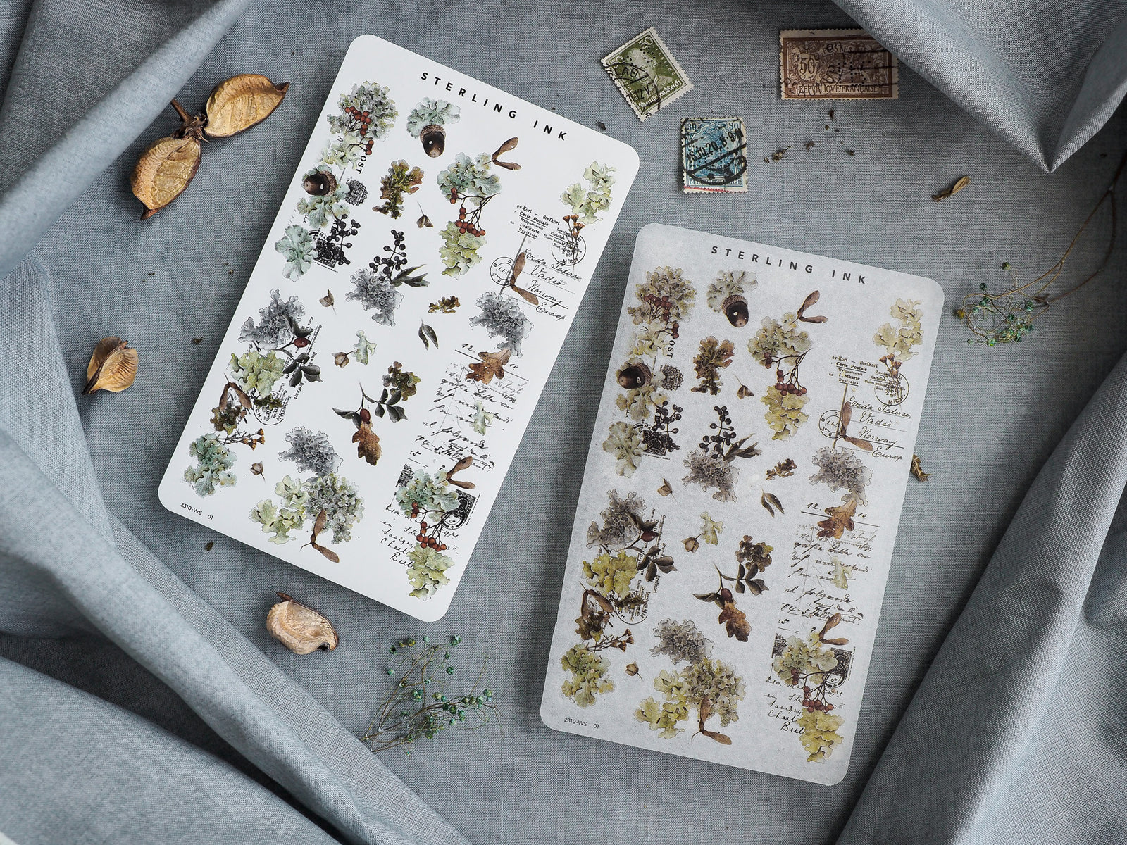 Botanical washi sticker sheets featuring intricate vintage illustrations of autumnal leaves, dried natural elements, and subtle script text in warm, earthy tones.