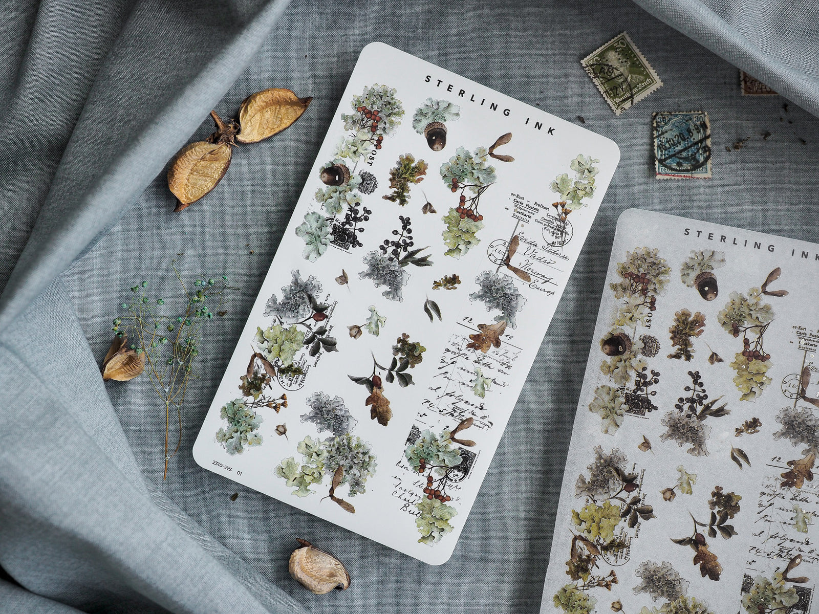 Autumnal washi sticker strips featuring detailed, vintage ink illustrations of pressed leaves, natural botanicals, and rustic seasonal sketches.