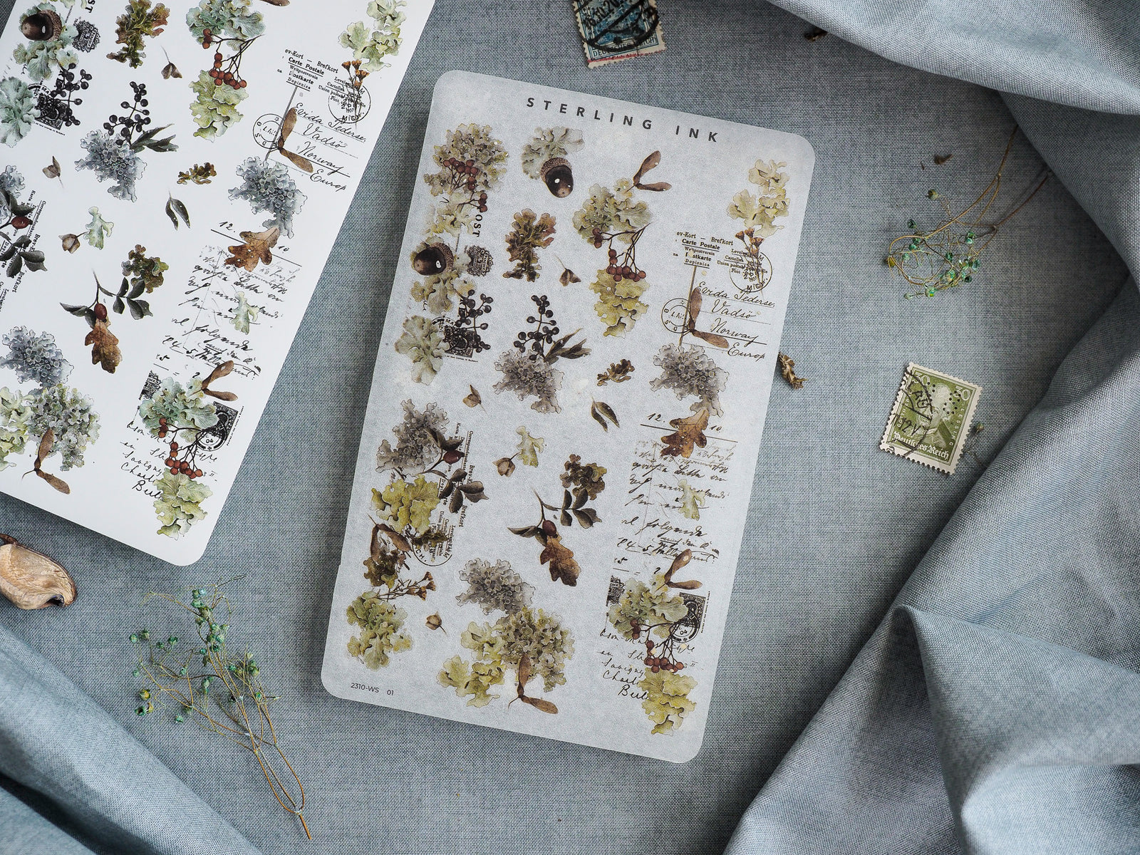 Detailed set of autumn botanical stickers featuring vintage scientific illustrations of leaves, acorns, and berries in rich, earthy sepia tones.