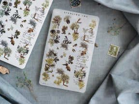 Detailed set of autumn botanical stickers featuring vintage scientific illustrations of leaves, acorns, and berries in rich, earthy sepia tones.