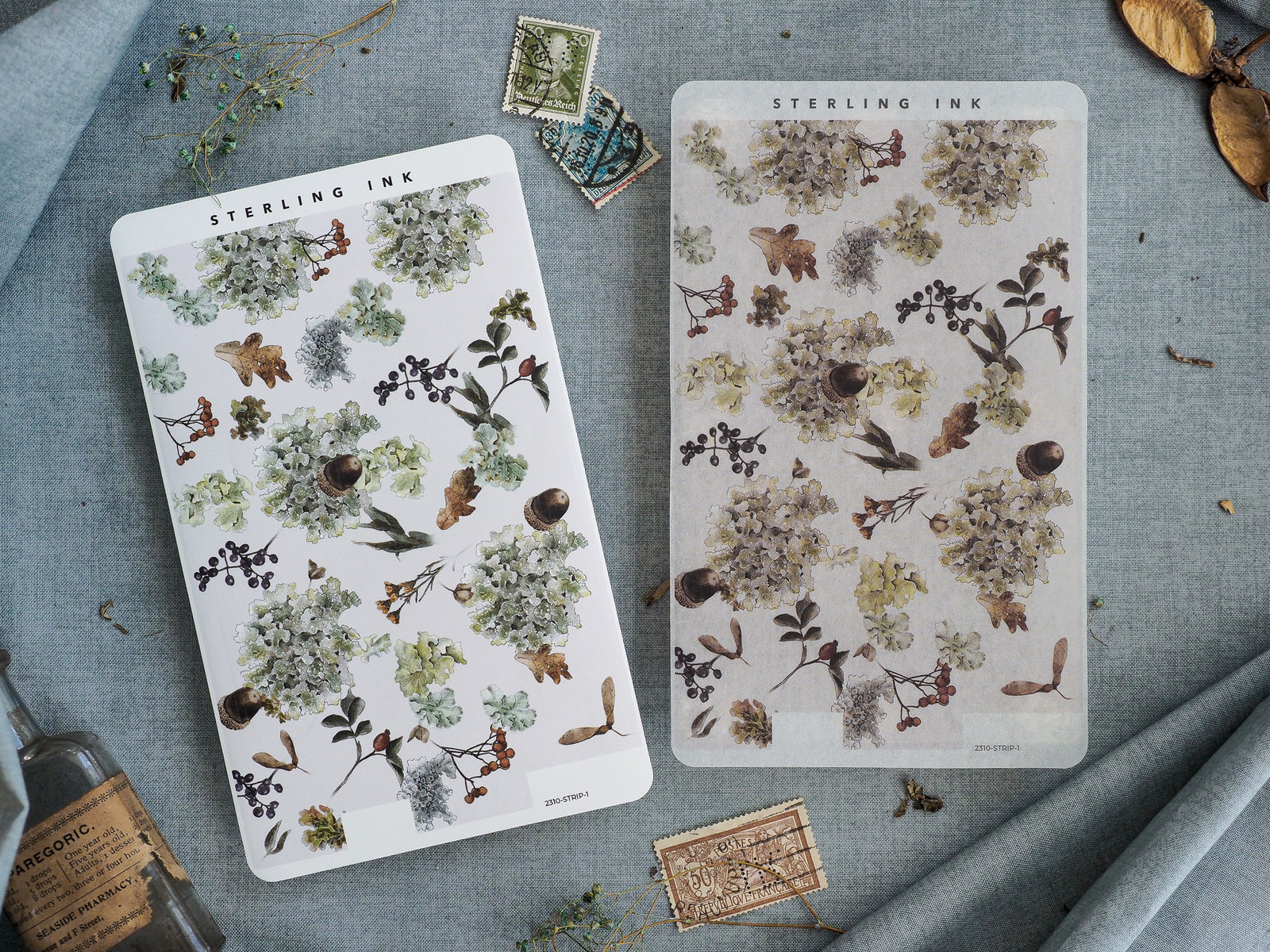 Sticker sheets featuring a beautiful autumnal arrangement of muted, delicate floral prints, varied foliage, and scattered acorns, perfect for October crafting.