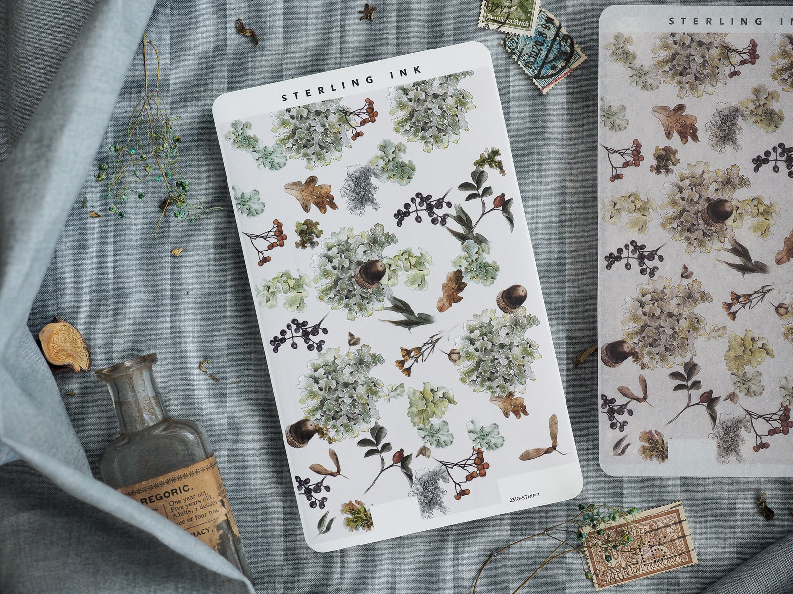 Autumn botanical sticker sheet featuring a delicate pattern of muted florals, dark berries, trailing leaves, and natural woodland elements in vintage tones.
