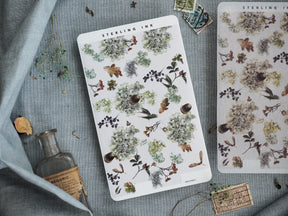 Autumn botanical sticker sheet featuring a delicate pattern of muted florals, dark berries, trailing leaves, and natural woodland elements in vintage tones.