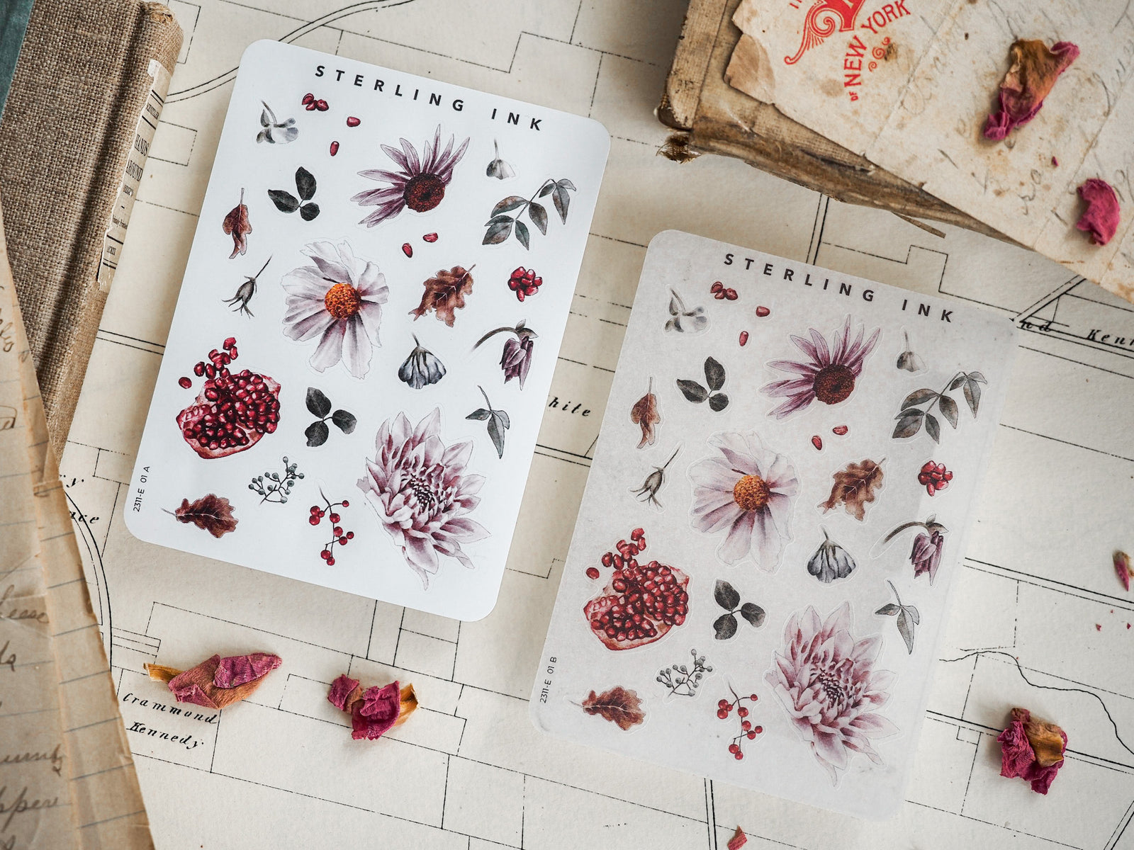 Autumn botanical sticker sheet featuring a collection of dried flowers, ripe berries, and delicate foliage in rich, seasonal muted tones.