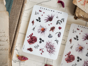 Autumn botanical sticker set featuring vibrant pomegranates, clusters of red berries, and delicate illustrations of dried flowers and foliage.