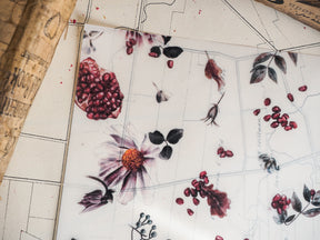 Seasonal sticker sheet featuring watercolor botanical illustrations of clusters of deep red berries, dark purple blooms, and elegant autumn leaves.