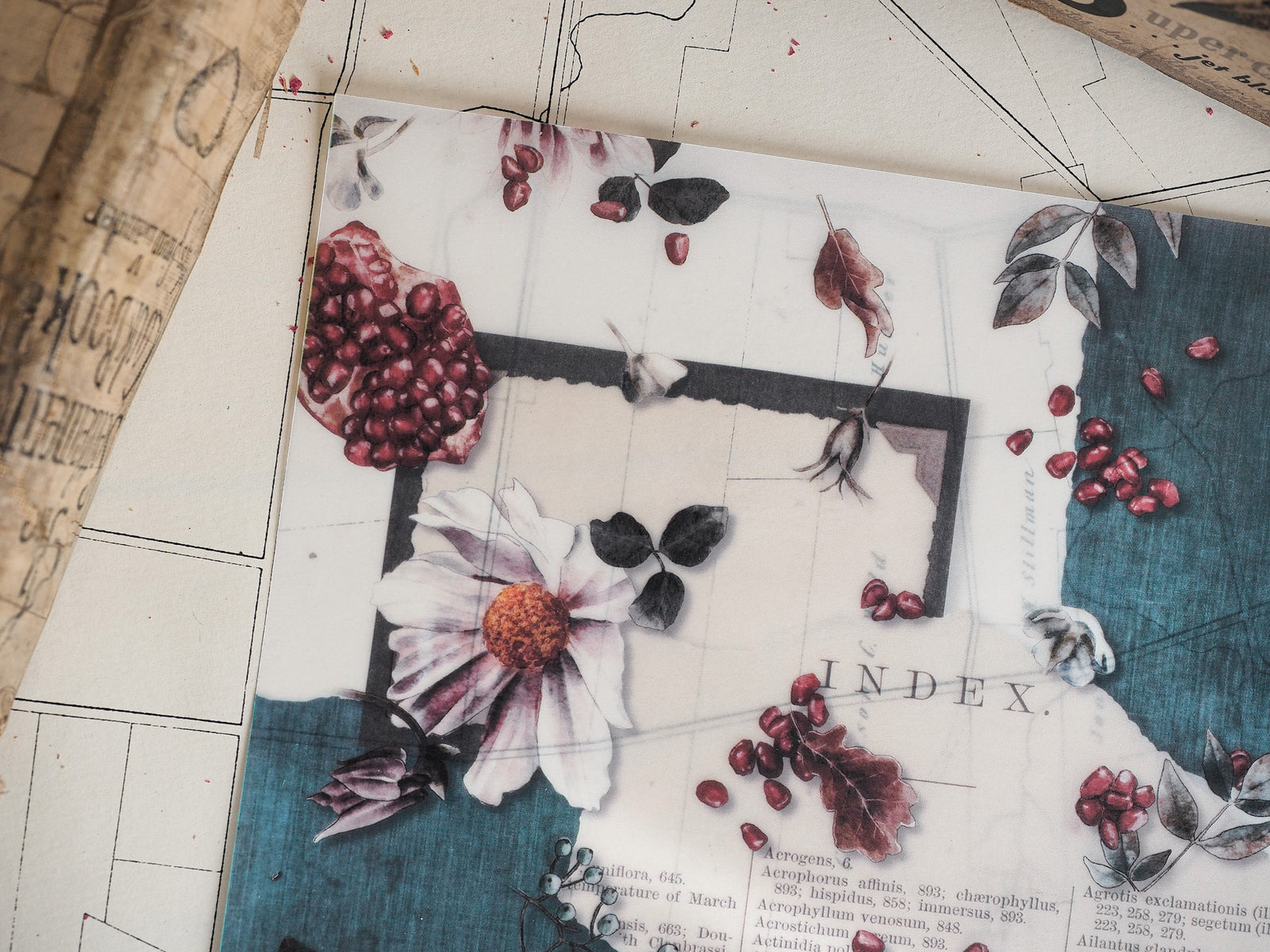 Vintage botanical index art featuring a cream flower, maroon berries, and dark leaves, arranged with scholarly Latin names on an aged paper design for journaling.
