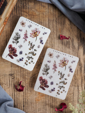 Botanical sticker sheets featuring watercolor arrangements of autumnal florals, rich burgundy, deep purple, and muted green leaves for journaling and crafting.