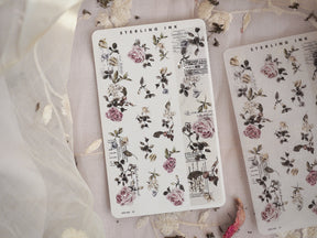 Botanical washi strip stickers featuring vintage scientific illustrations of blush roses, detailed leaves, and delicate floral sprigs.