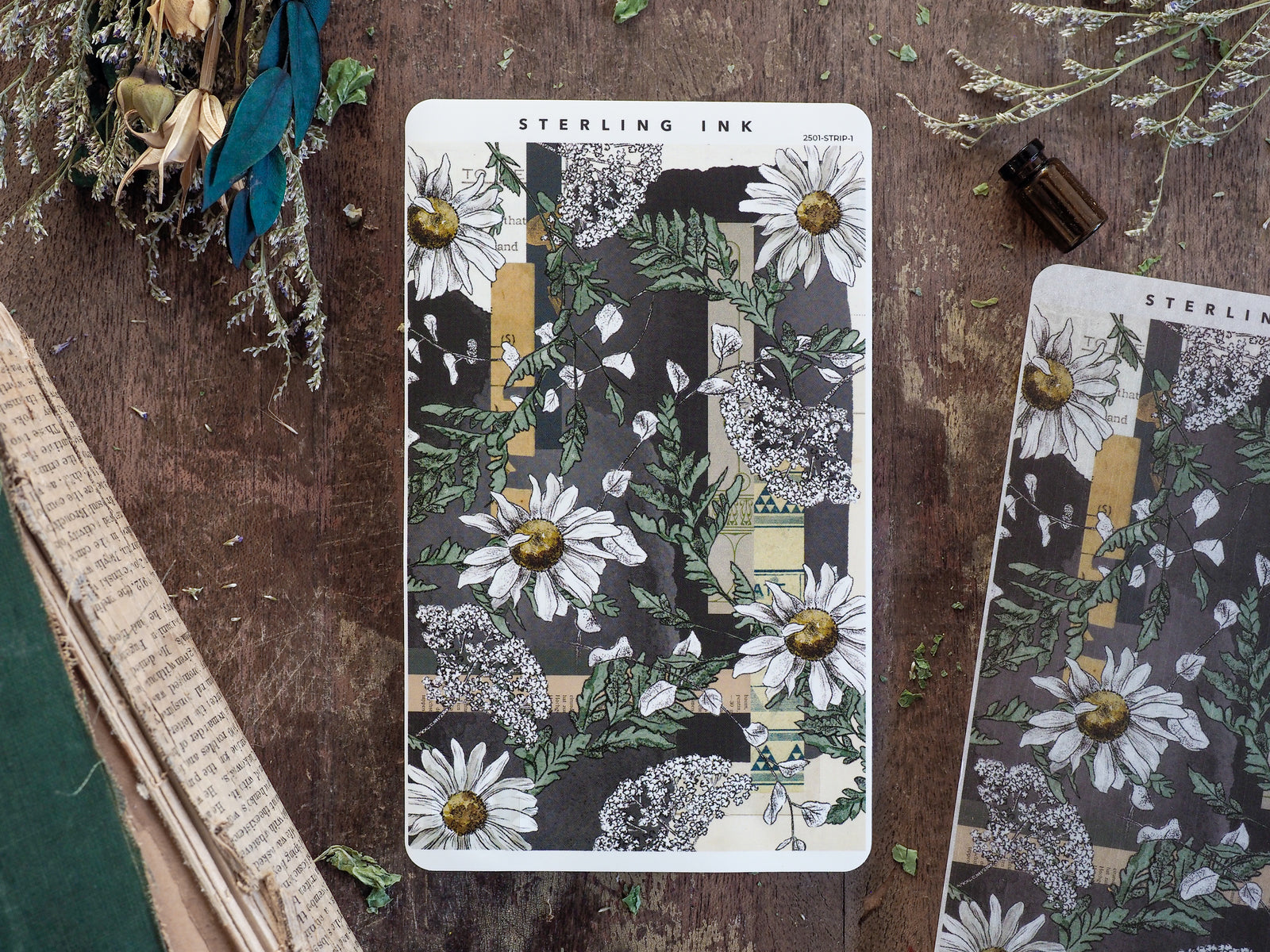Botanical sticker strip for January 2025 featuring a vintage pattern of white daisies and lush dark green foliage on a black and cream background.