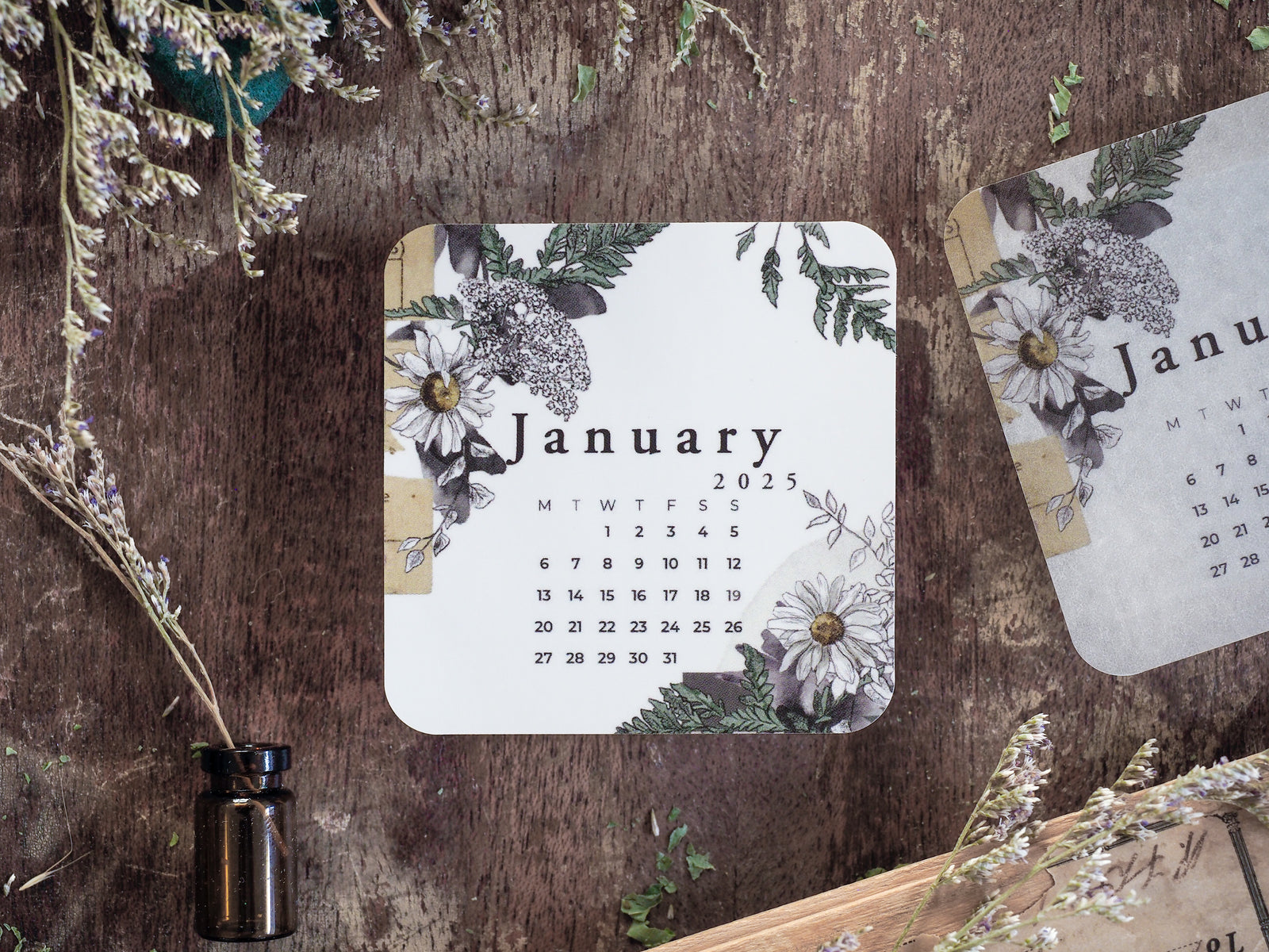 Botanical monthly calendar sticker for January 2025, featuring a delicate and elegant arrangement of white daisies and soft green foliage.