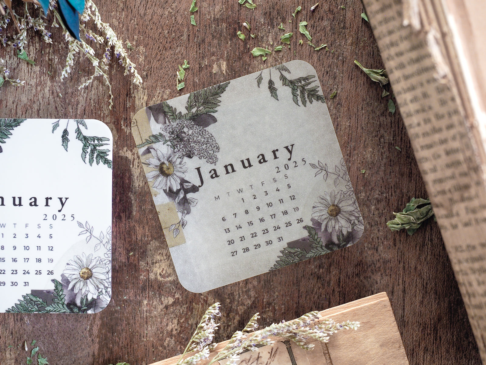 Elegant calendar grid for January 2025, framed by detailed botanical illustrations of foliage and soft white flowers.
