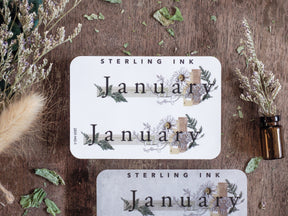 Botanical planner sticker set featuring the word January surrounded by pressed greenery, delicate foliage, and rustic vintage accents in earthy, muted tones.