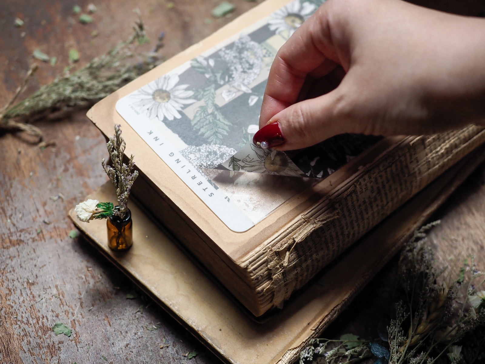 Elegant deco sheet featuring muted botanical motifs of daisies and greenery, printed in detailed black and white for journaling and planning.