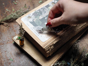 Elegant deco sheet featuring muted botanical motifs of daisies and greenery, printed in detailed black and white for journaling and planning.