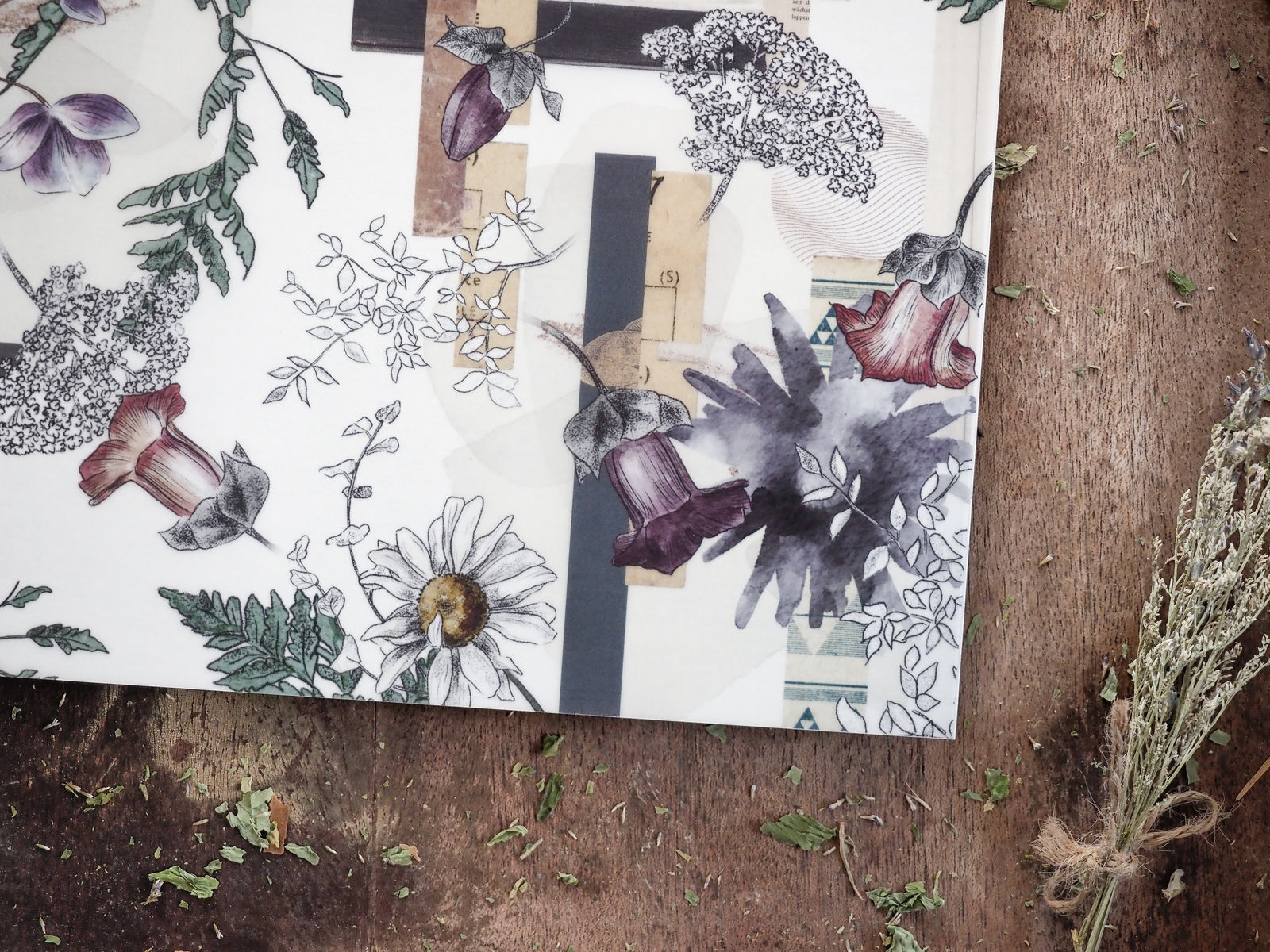 Botanical layout design featuring detailed black ink sketches of diverse wildflowers, foliage, and natural seed pods in a muted, vintage color palette.