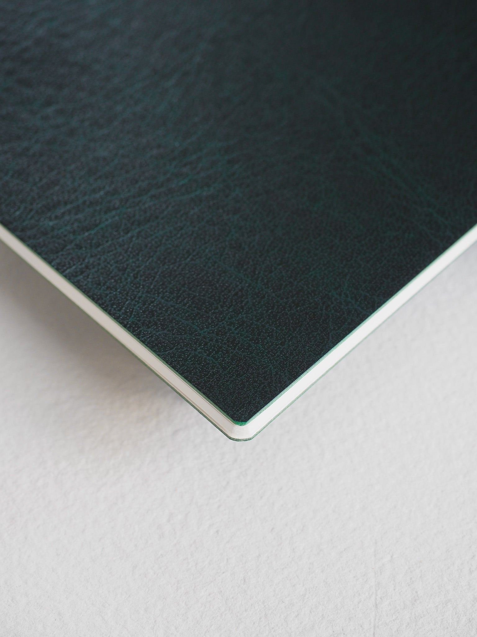 Dark emerald green passport notebook booklet featuring a smooth, professional matte cover for journaling or travel notes.