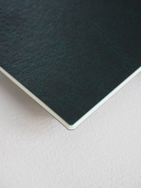 Dark emerald green passport notebook booklet featuring a smooth, professional matte cover for journaling or travel notes.