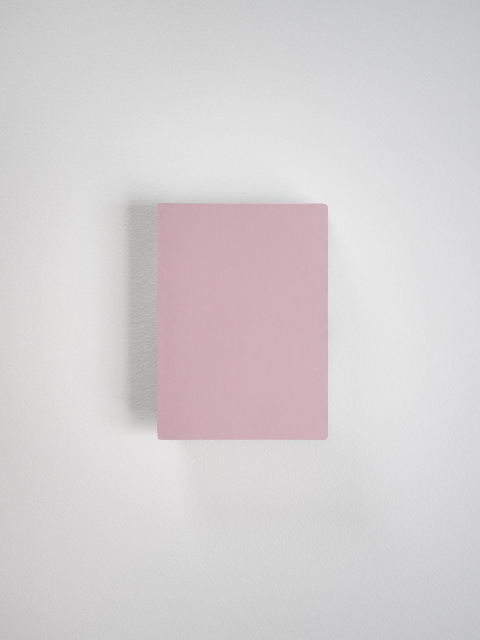 Minimalist pale blush pink notebook with a solid, blank cover, perfect for structured journaling, note-taking, or travel planning.