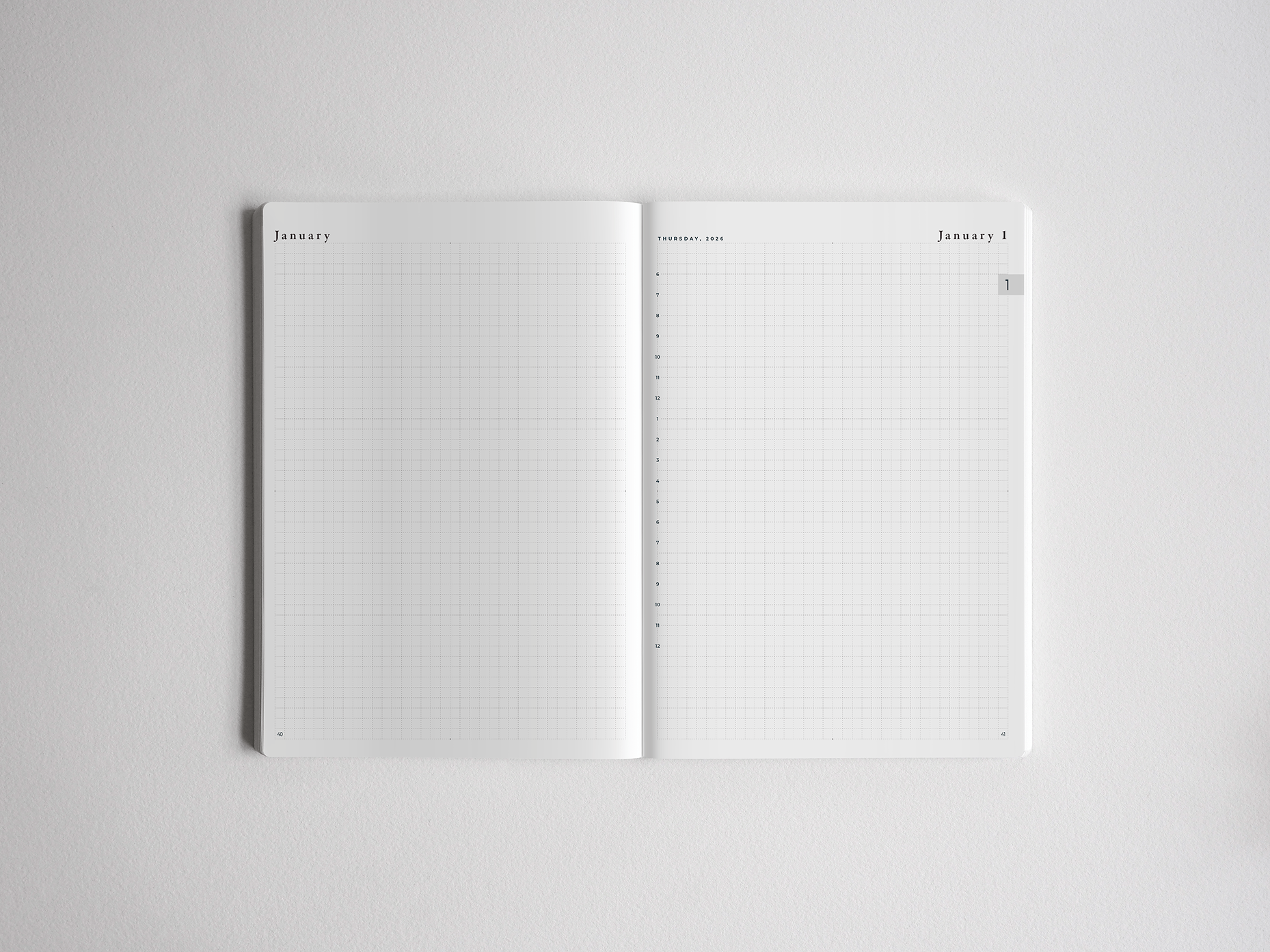 Daily Layout
