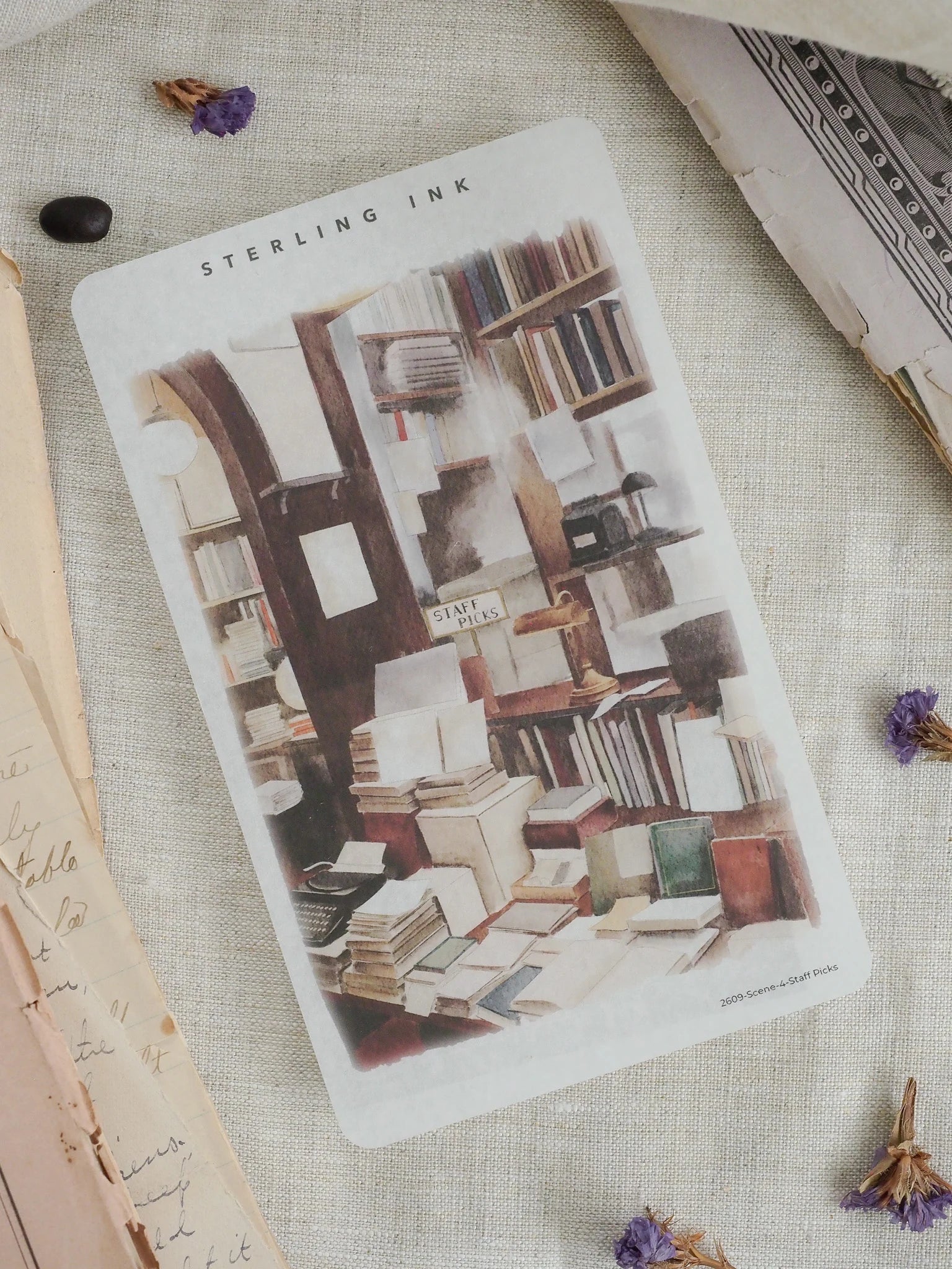 Single Scene Sticker: Staff Picks - September 2026