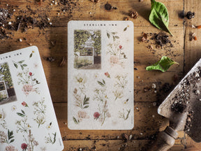 Botanical sticker set featuring delicate, soft pastel floral arrangements, intricate greenery, and charming cottage illustrations.