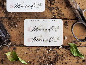 Elegant March month sticker set featuring "March" in delicate script and accented by soft watercolor blossoms in pink and sage green.