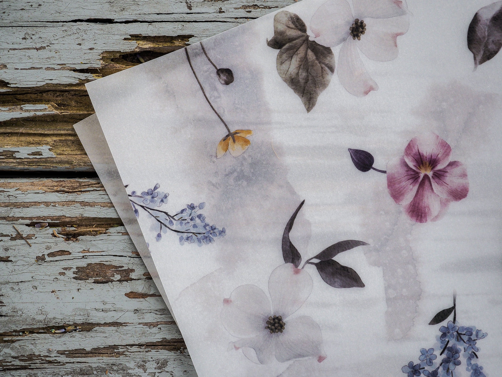 Watercolor botanical sheet for Vellum, featuring soft, muted watercolor florals in shades of pink, grey, and dusty blue for spring planning.