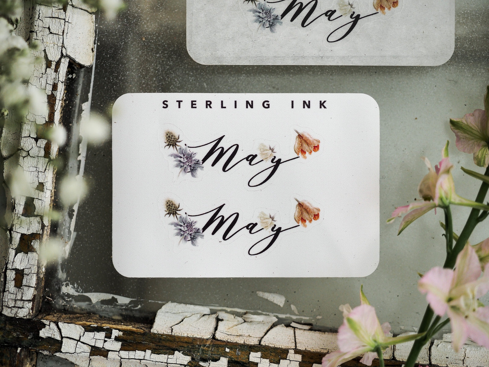 Elegant "May" sticker with decorative watercolor florals and graceful script, perfect for journaling and decorating monthly planners.