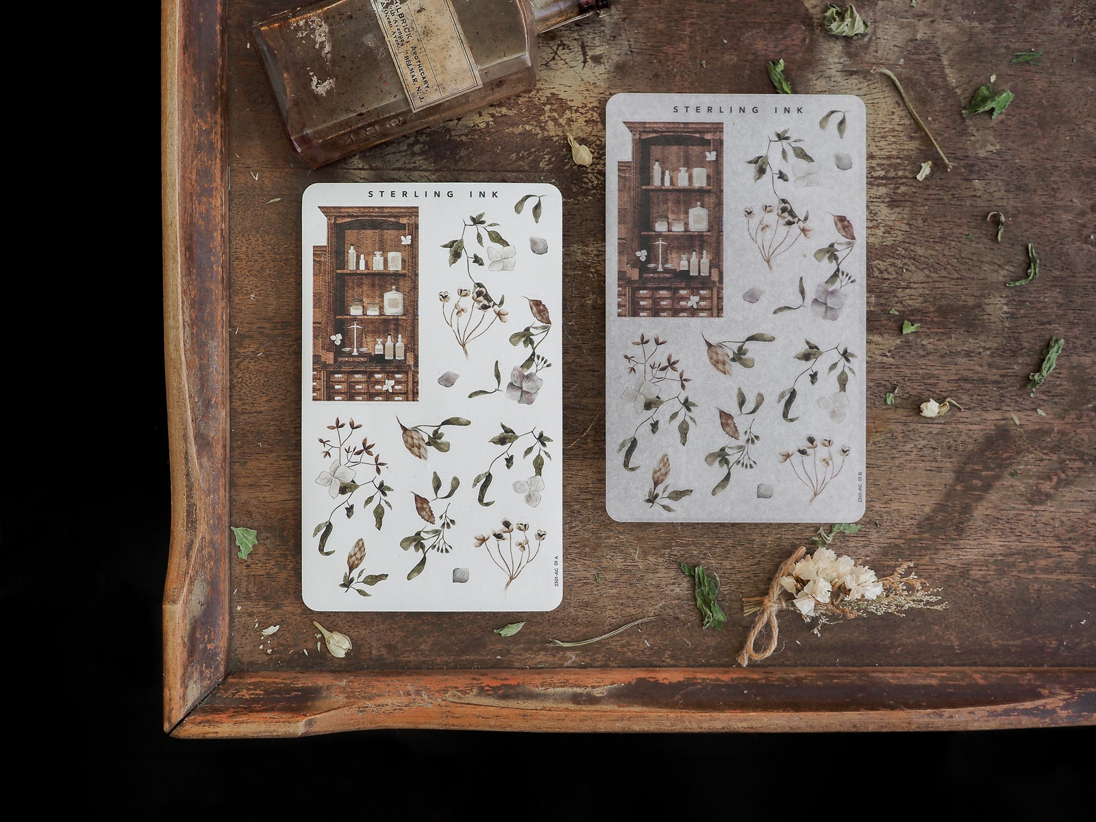 Decorative stickers featuring a vintage botanical arrangement theme, showing detailed sketches of dried herbs and an apothecary cabinet.