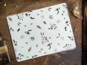 Delicate botanical sheet featuring a sparse, antique pattern of brown and gray illustrations of dried leaves, small flowers, and fragile plant stems.