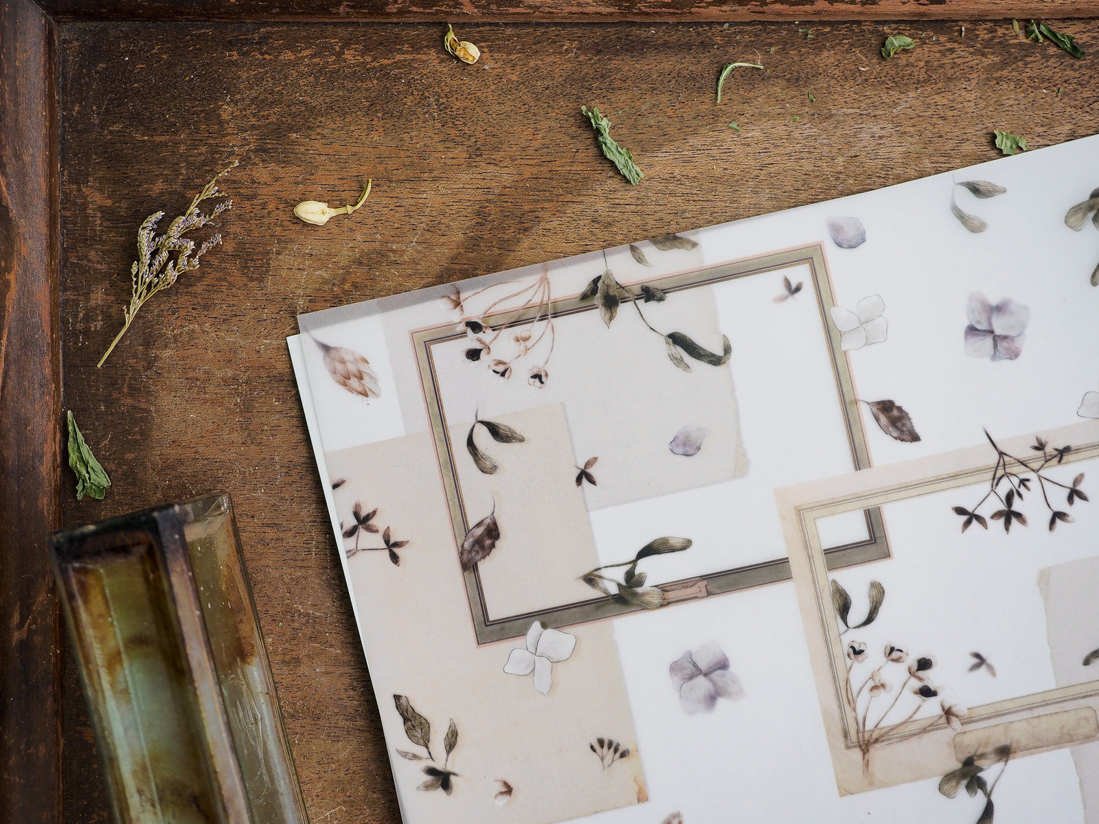 Botanical sticker set for January 2023 featuring delicate sepia-toned arrangements of dried leaves and pale flowers on creamy paper.