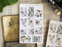 Load image into Gallery viewer, Stamps Stickers - August 2022
