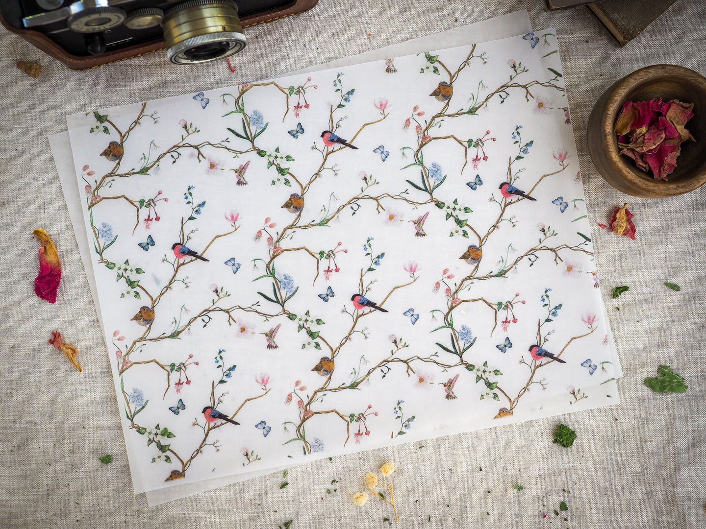 Chinoiserie Collection - Vellum