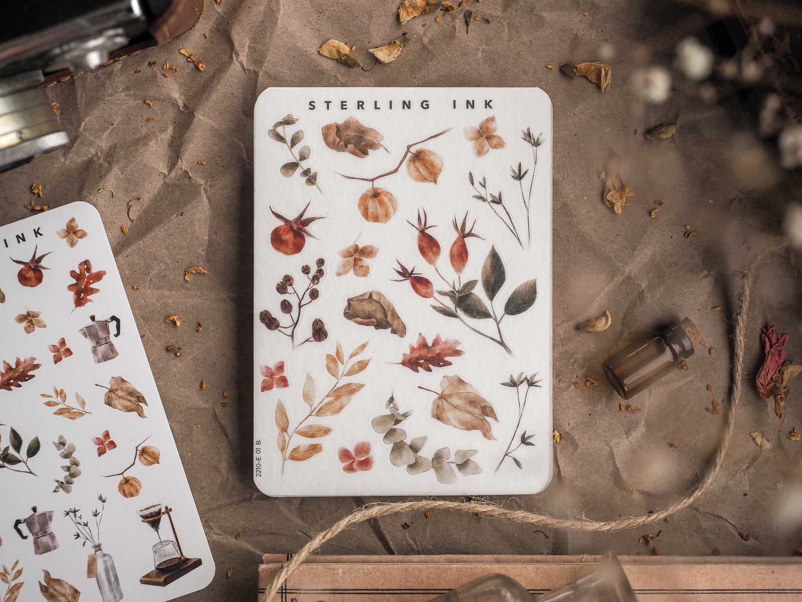 White sticker sheet showcasing fall botanical elements, including rich autumn leaves, berries, and rustic seasonal foliage in natural, muted tones.
