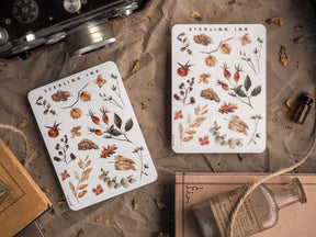 Botanical sticker set featuring a delicate pattern of autumnal elements, including rust-colored leaves, berries, and seed pods, printed on clean white paper.