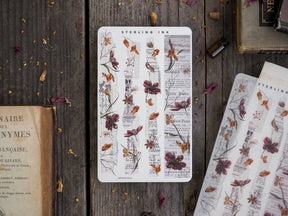 Cream-toned washi strips adorned with delicate, vintage botanical prints and sketches of dried flora in sepia, burgundy, and earthy tones.