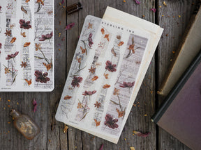 Vintage washi strip stickers featuring sepia-toned botanical illustrations and printed historical text, perfect for crafting scrapbooks or journaling.